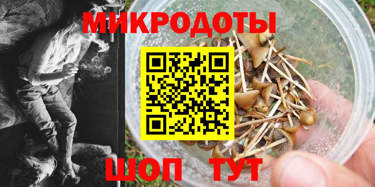 Апрелевка  Псилоцибиновые грибы Cubensis  Вход с VPN  Псилоцибиновые грибы ЛСД 
