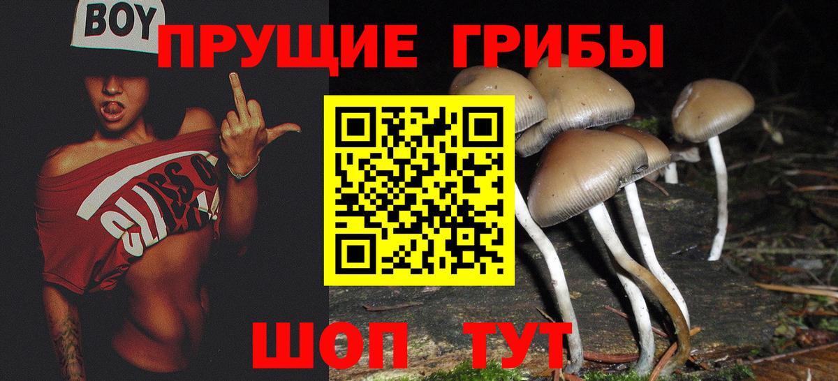 Галлюциногенные грибы прущие грибы Апрелевка
